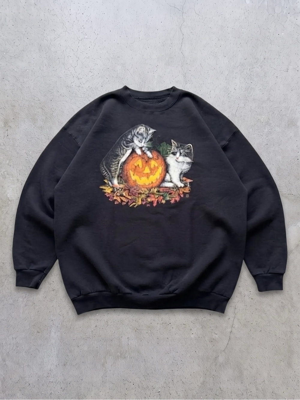 Gildan Black Crewneck Sweatshirt with
Halloween Cat & Pumpkin Graphic